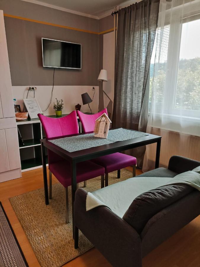 Apartmaji Sofia Máribor Exterior foto